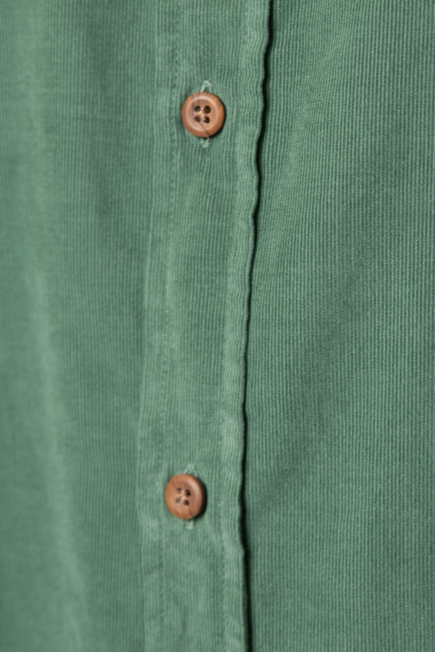 CAMISA MICROPANA VERDE CON BOLSILLO